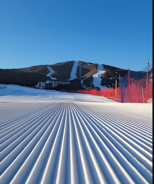 雪落林海,驰骋云端